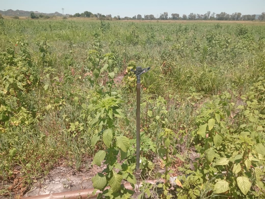 0 Bedroom Property for Sale in Brits Rural North West